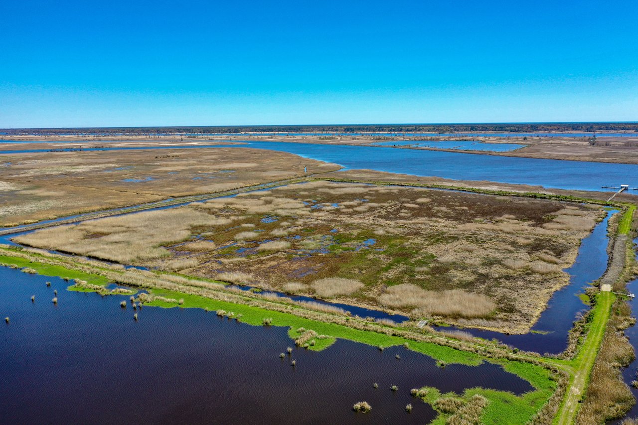 Kensington Plantation