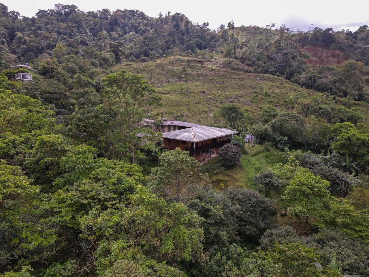 Sustainable Organic Mountain Farm, Perez Zeledon, San Jose