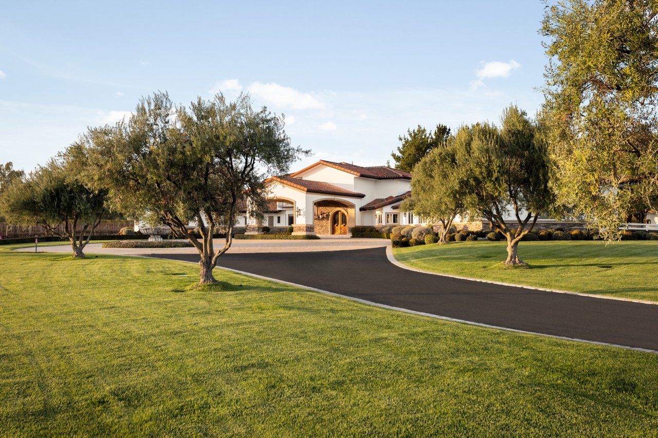 Vincent Vineyards