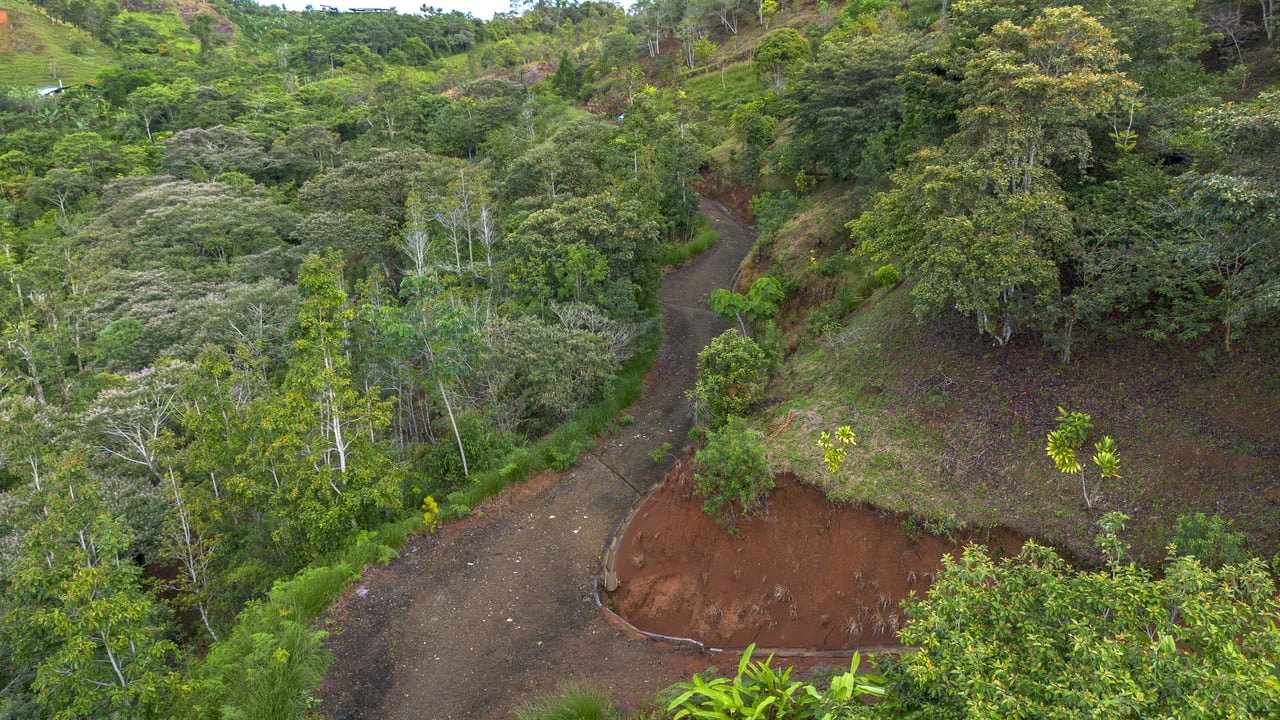 10.21 Acres with Views & Plantels – Pérez Zeledón