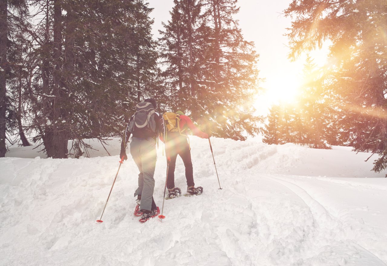 Two snowshoers making their way through the woods while the sun shines through the trees