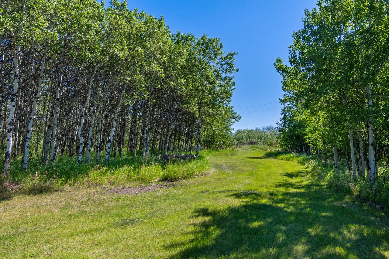 8 Willow Lane
