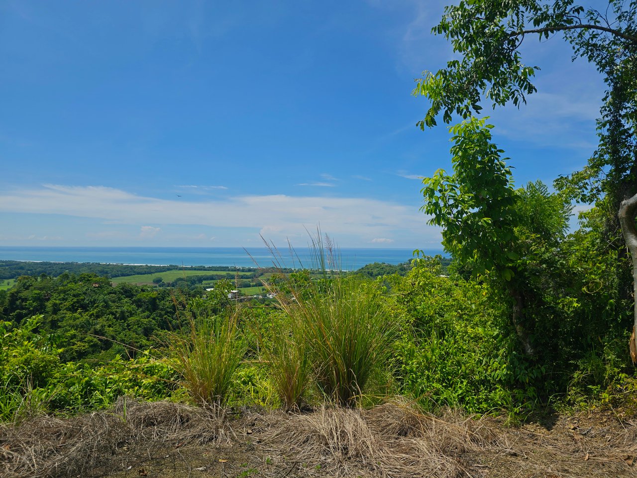 Hermosa Falls Estates Luxury Development