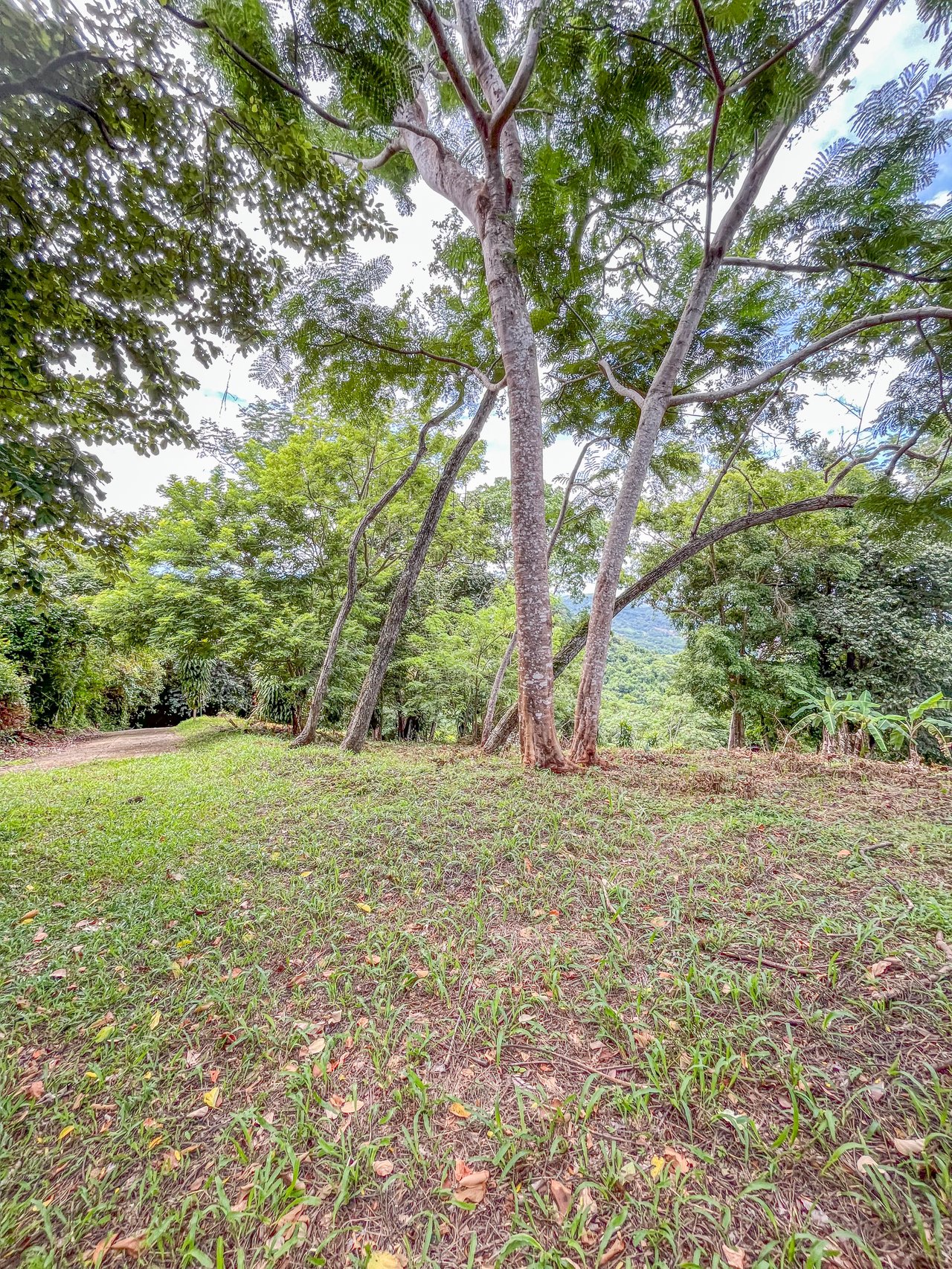 La Reserva Camaronal Lot 34