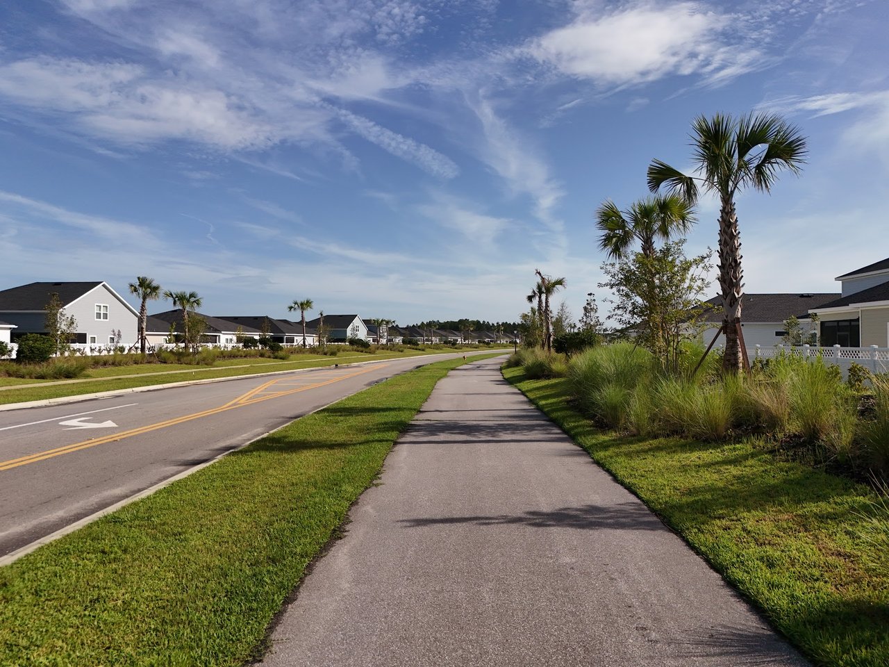 Silver Falls neighborhood street with detached homes, palm trees, and a wide sidewalk.