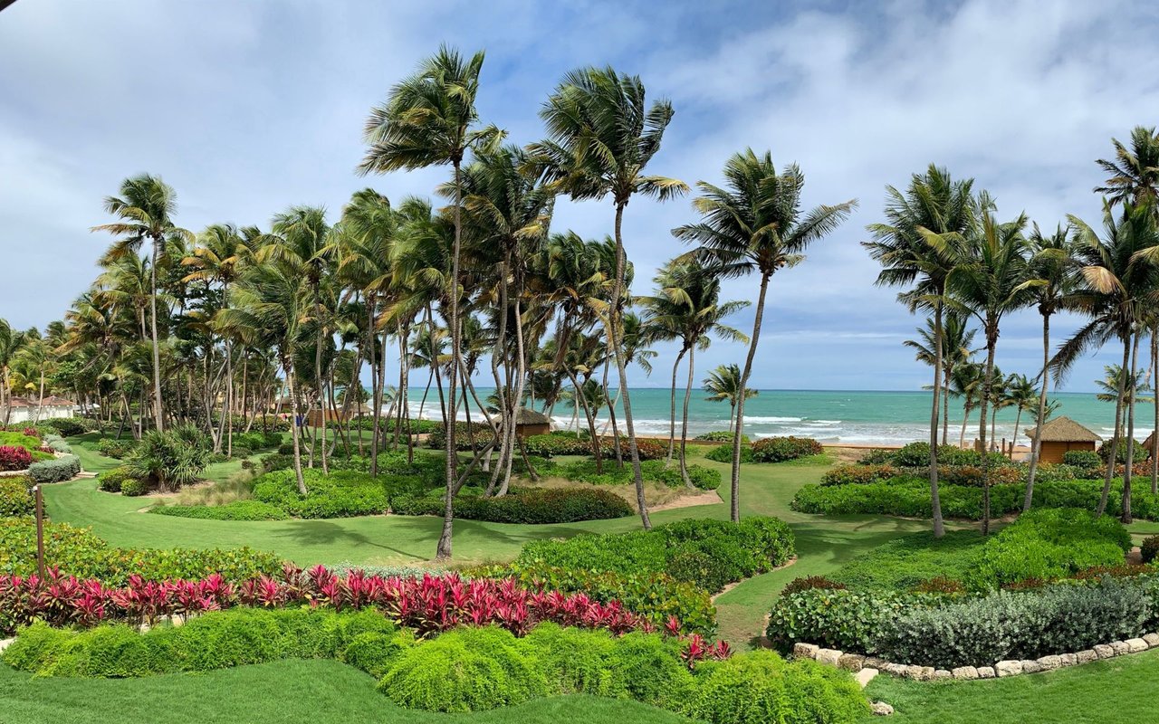 St. Regis