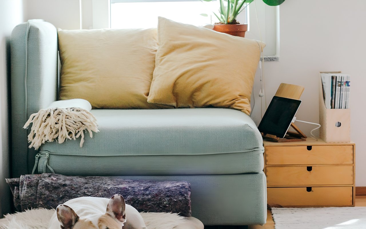 5 Ways Real Estate Agents Can Keep You Safe When Selling Your Home