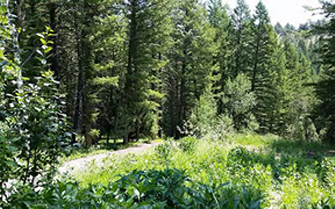 For Sale By Owner- 19 ACRES in Lava Hot Springs, ID