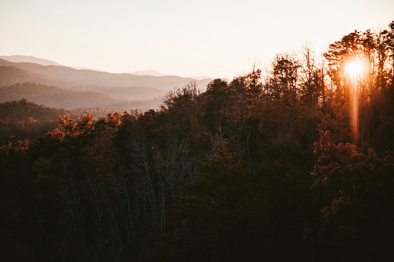 Autumn mountain ridges and forest glowing in the low evening sun