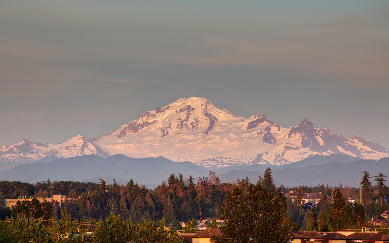 Macdonald Realty Langley