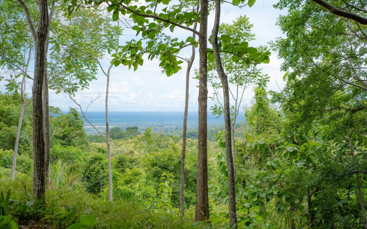 Ocean View Ridge Farm | 135-Acre Estate Near Playa Hermosa, Jacó