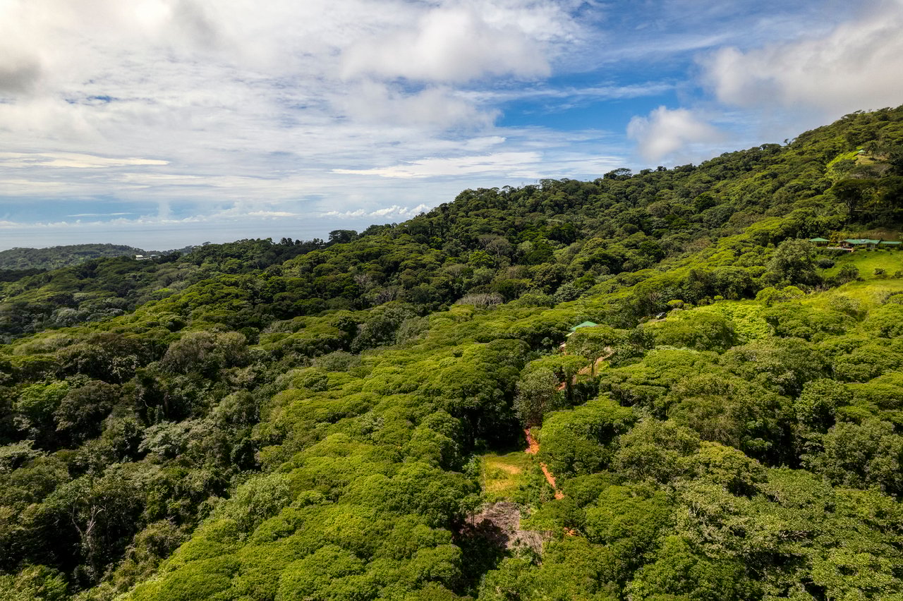 NEW PRIVATE MOUNTAIN HOME WITH OCEAN VIEWS ABOVE LAGUNAS