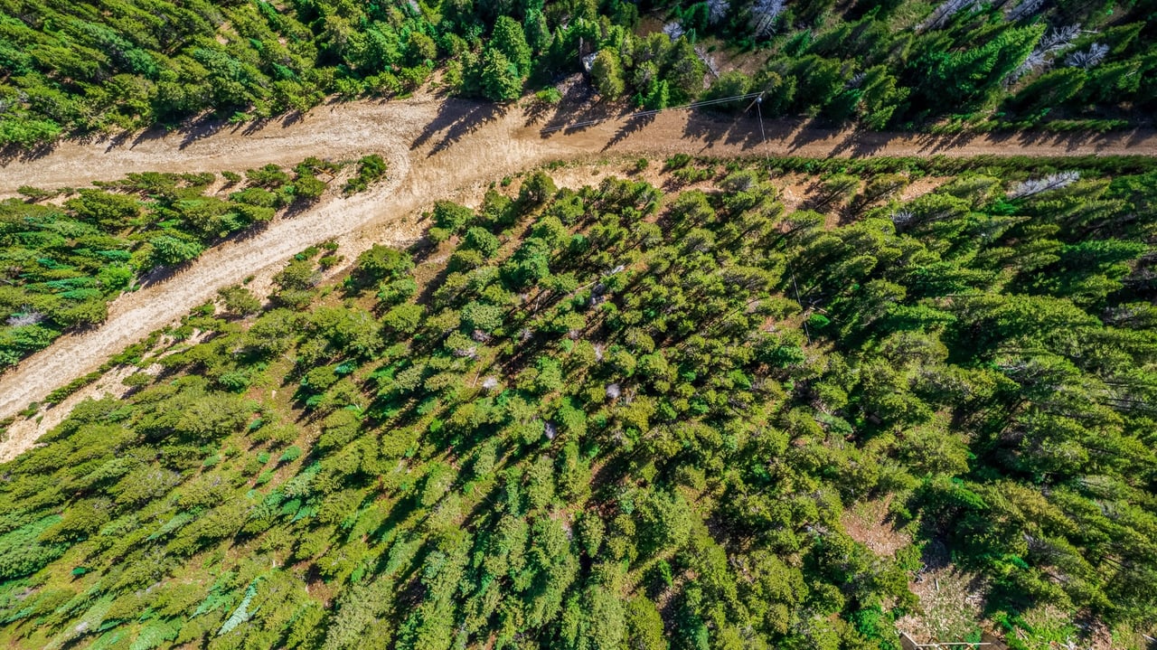 Just Listed: Discover High Country Living in St. Mary's, Colorado!