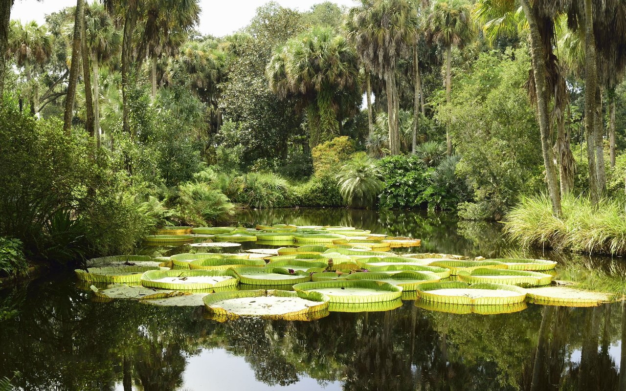Longwood