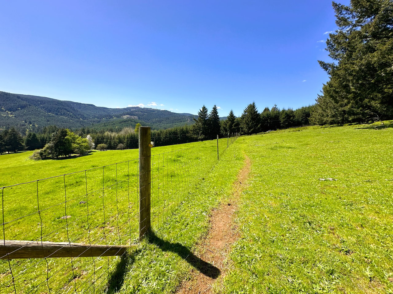 Panther Creek Homestead