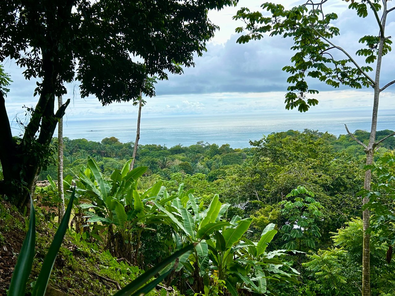 Ocean View Property in Playa Hermosa - Over 1 Acre