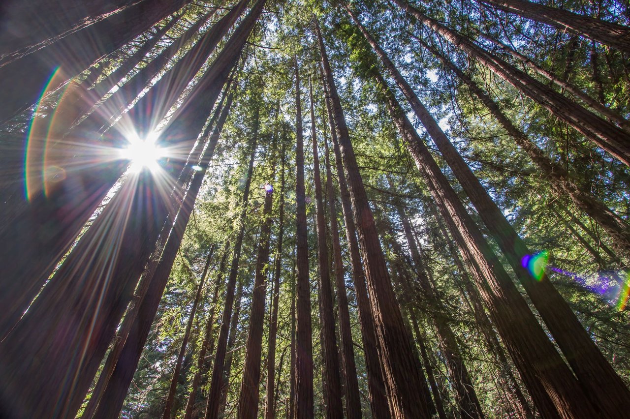 Scotts Valley