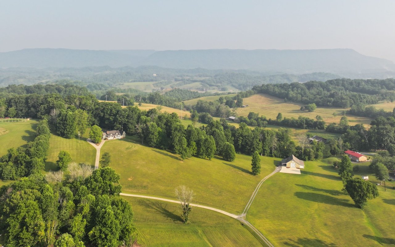 contact-form-background