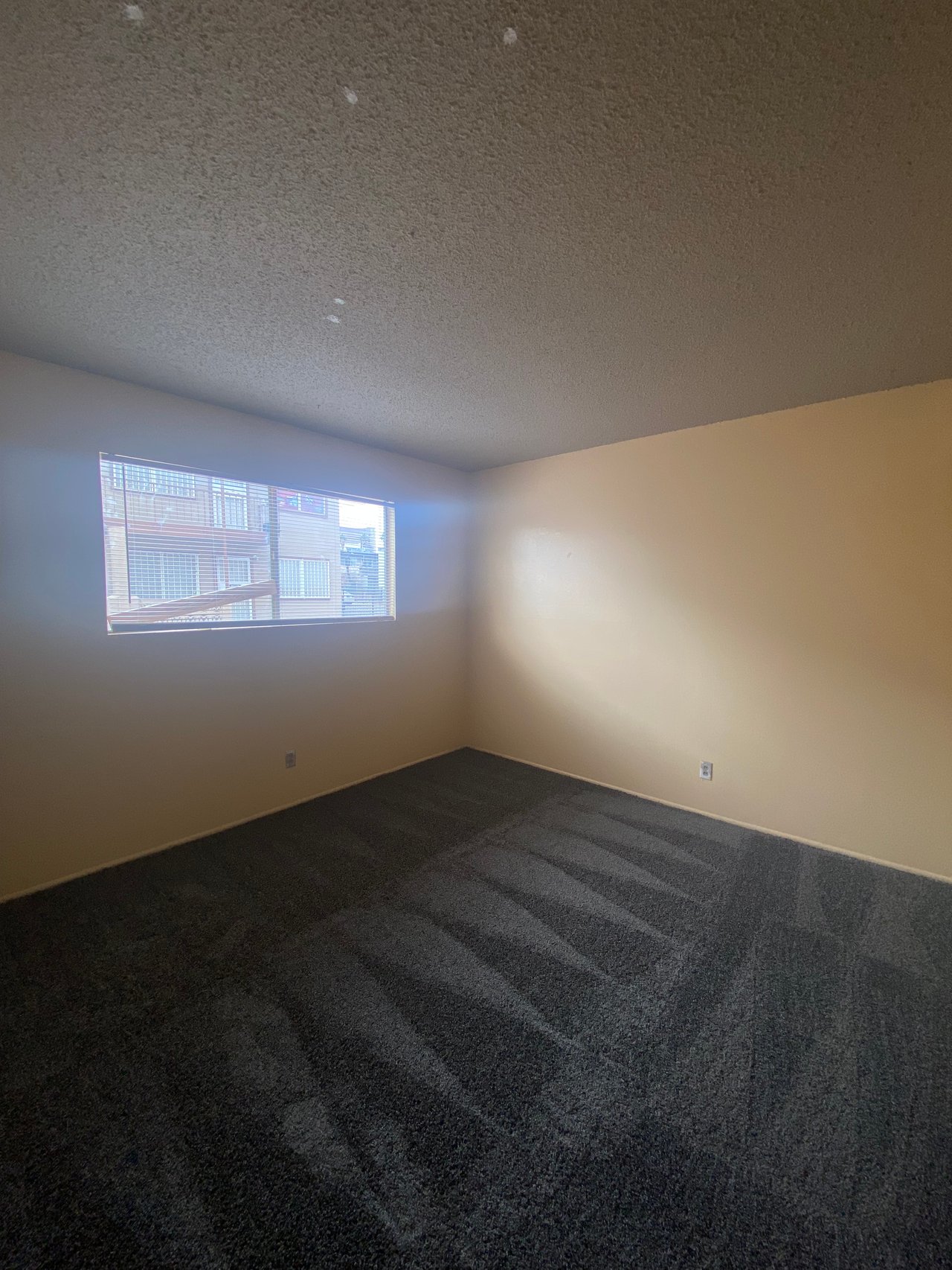 537 Calcaterra Circle #B