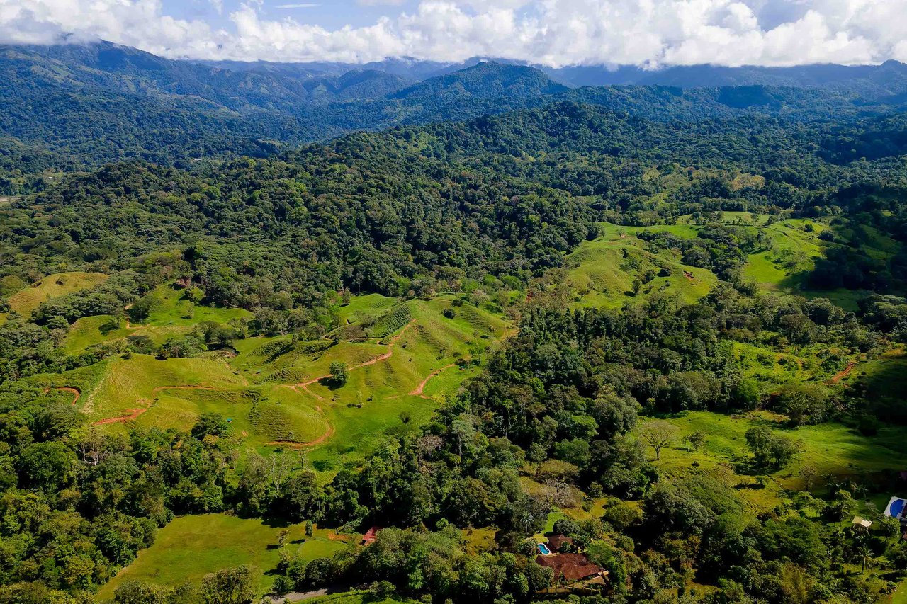 45 Acre Luxury Nature Estate