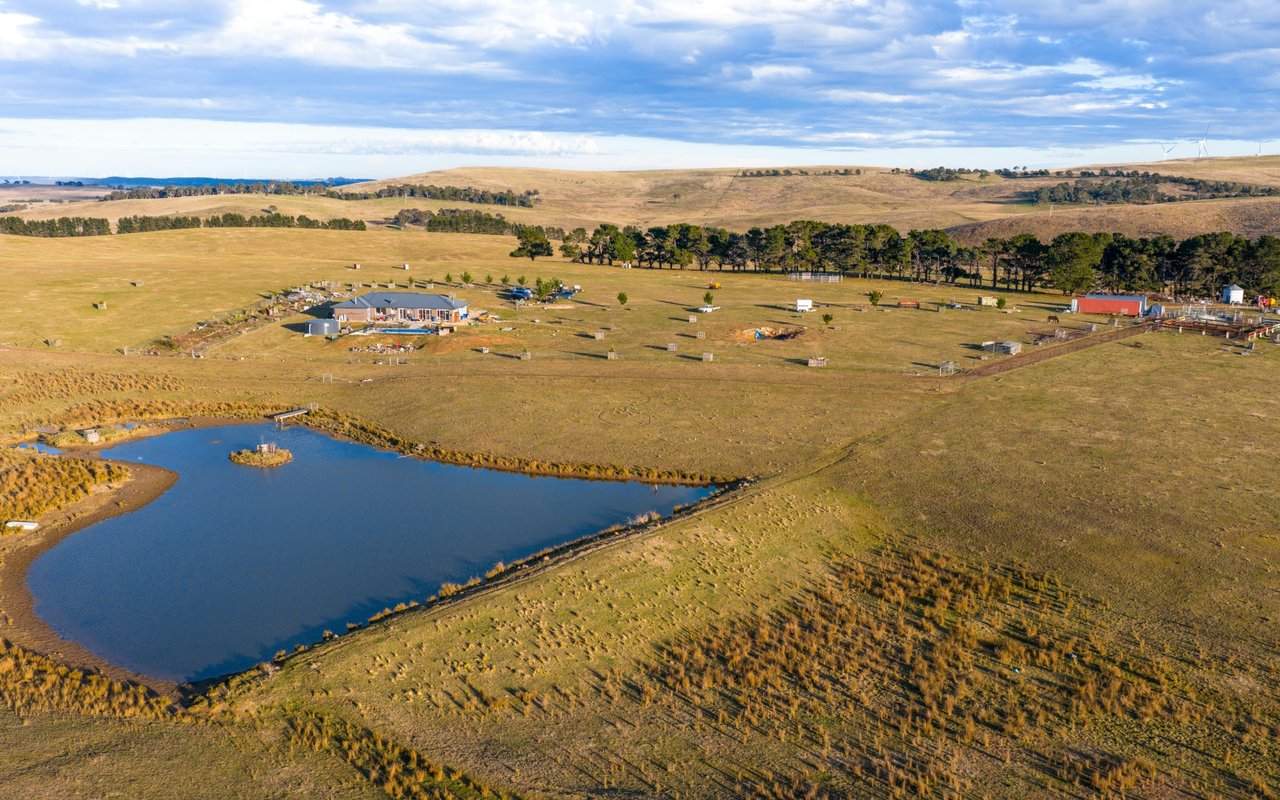 Cabin Run Farm