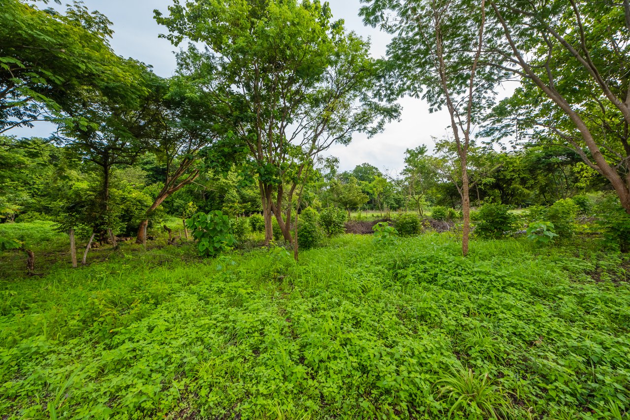 La Garita de Tamarindo Lot |1.3-Acre Home Site Near Top Beaches, Private, Scenic, and Well-Located