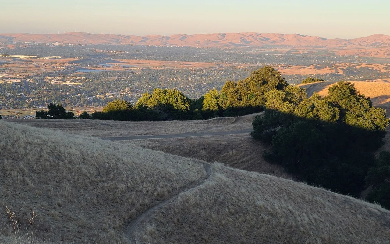 Pleasanton