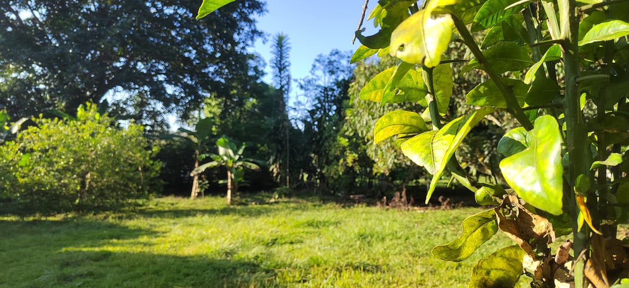 PRIME 1,100 M² LOT IN RESIDENCIAL LOS VIEJOS – FLAT, PRIVATE, AND READY TO BUILD