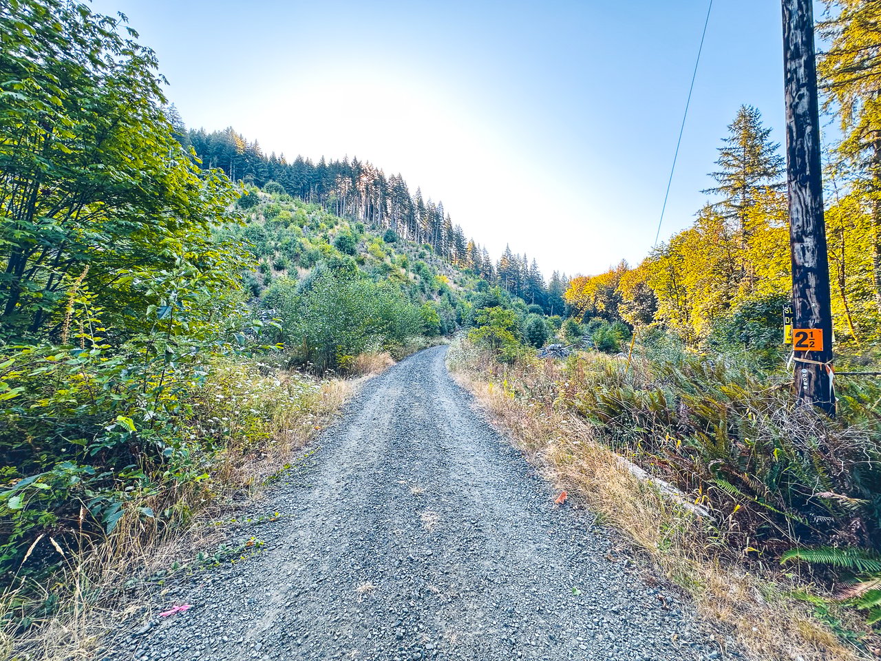 Honey Grove Creek