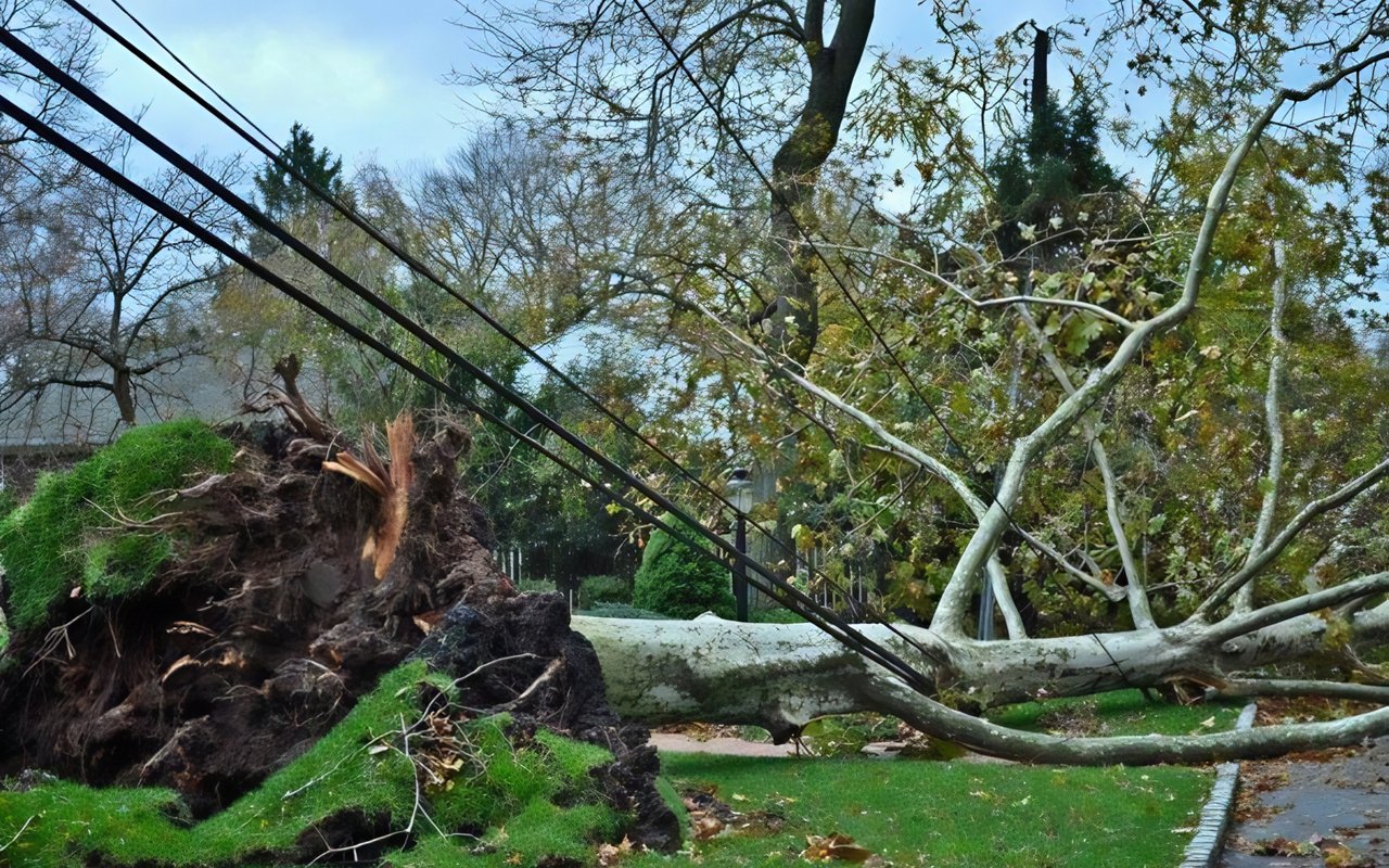 Providing Relief After Hurricane Sandy