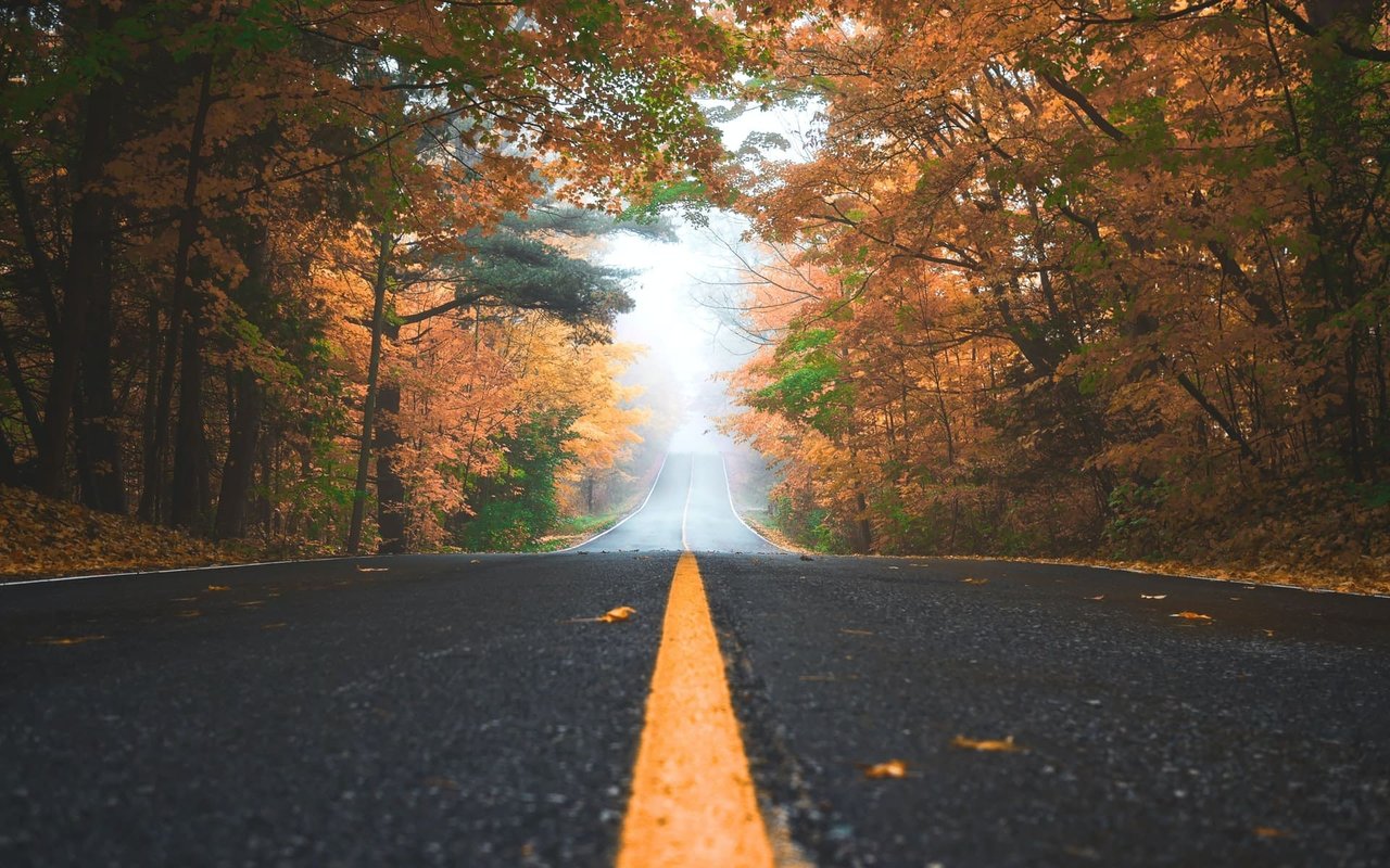 Our Predictions for the Fall Real Estate Market