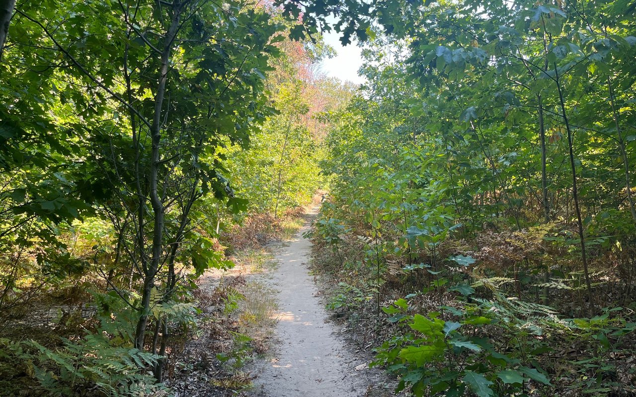 Port Sheldon