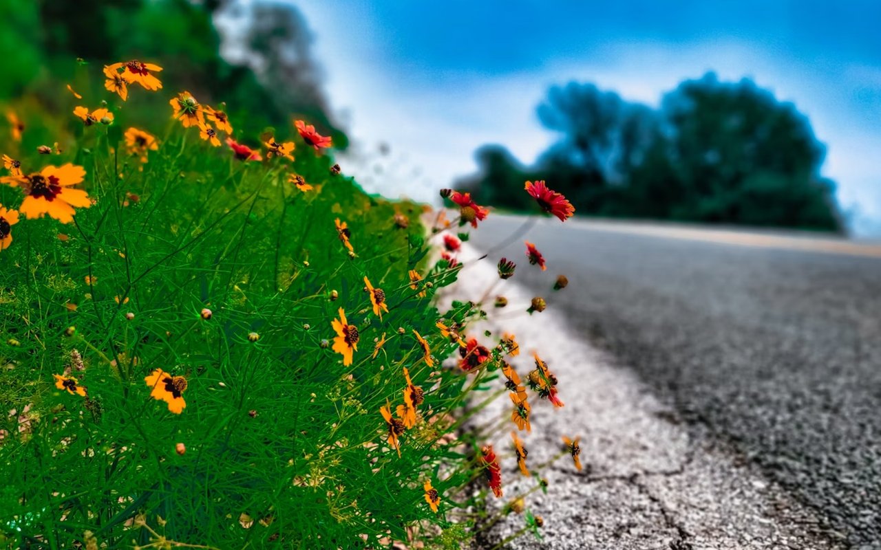 Day Trips From Wichita Falls, TX