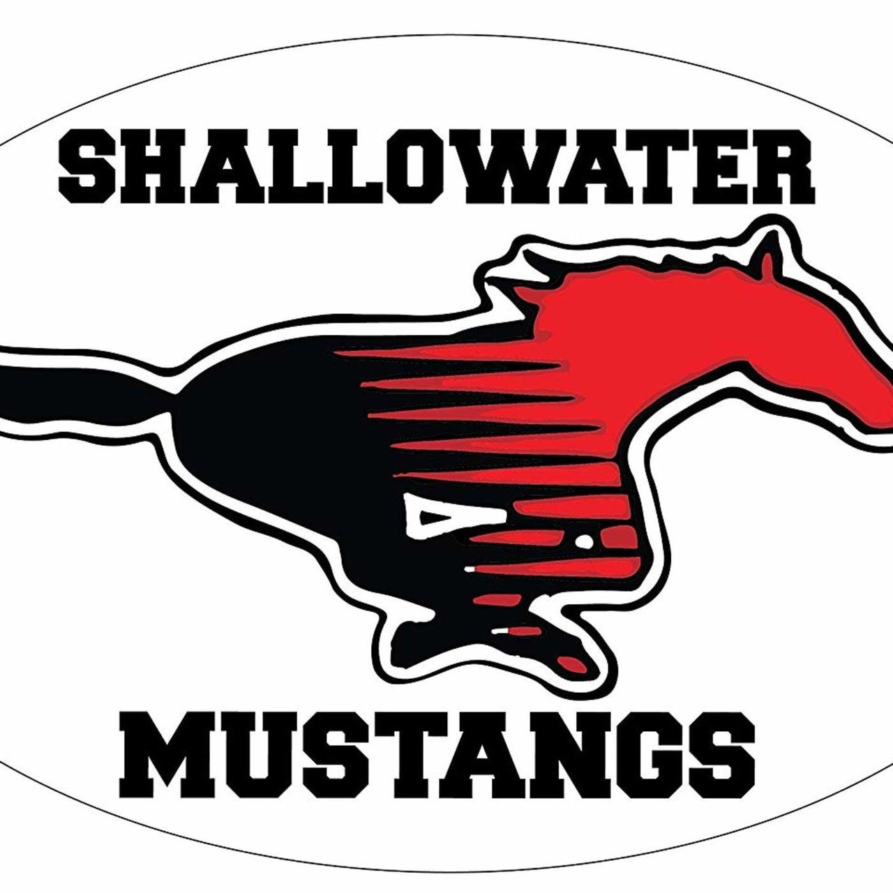 Shallowater High School
