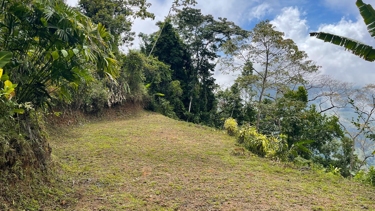 Incredible Mountain and Whale Tail View Home Site Above Uvita