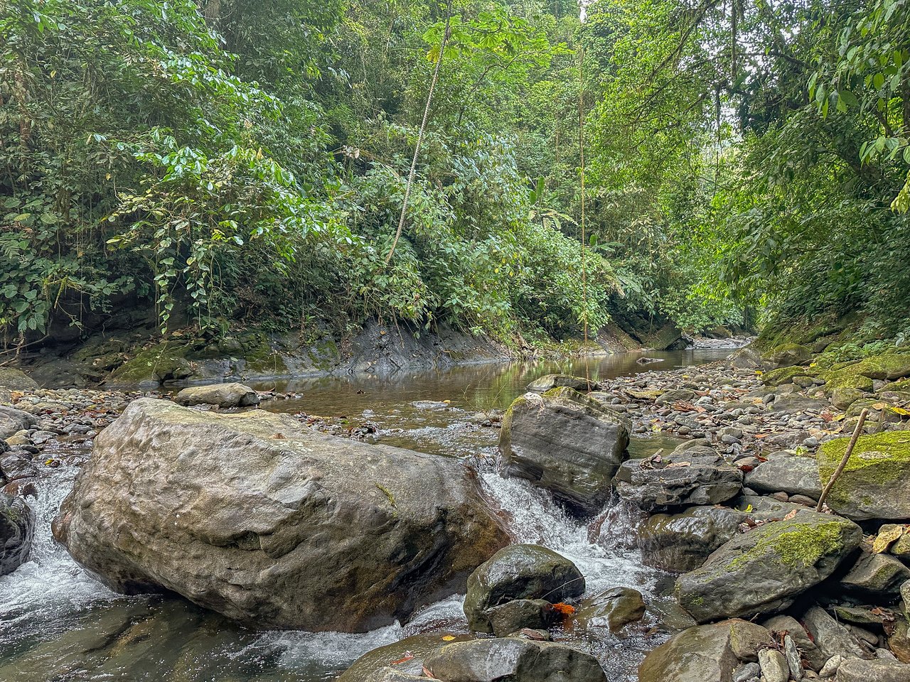 A Huge Rainforest, River & Waterfall Property With TWO Mountain & Jungle-View Luxury Homes on a Massive 4.93 Acre Lot – PLUS an Additional Plantel ready for Development