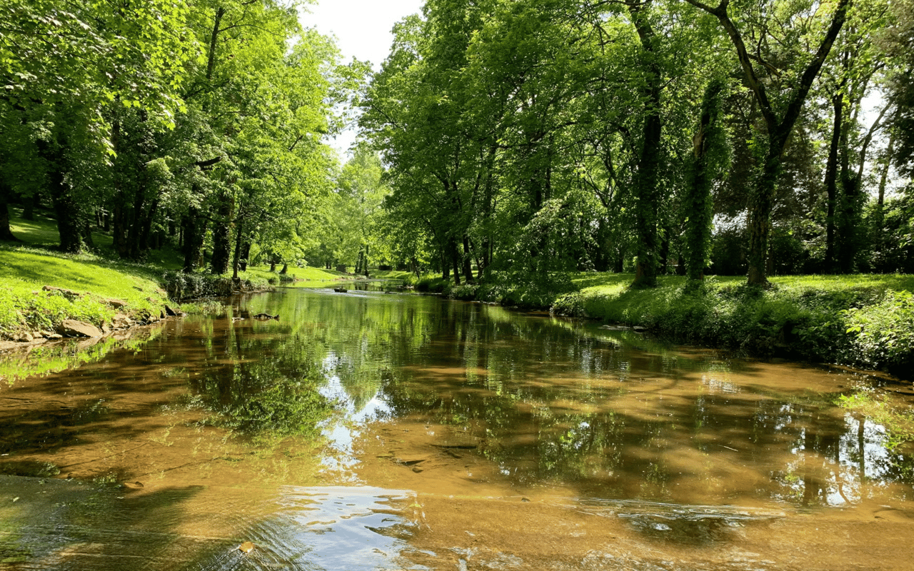 Belle Meade