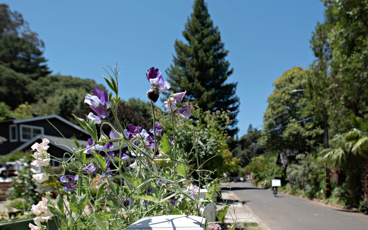 San Anselmo