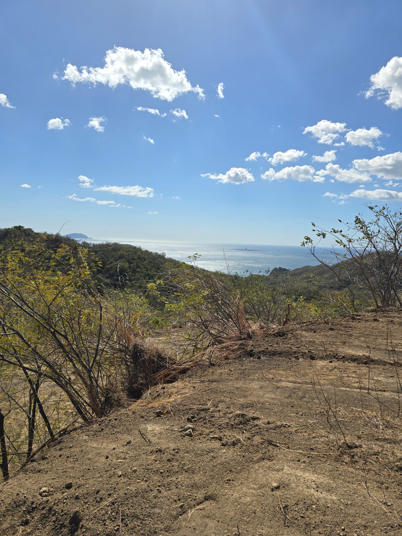 Vista Miramar Estate Lot, Pacific Heights