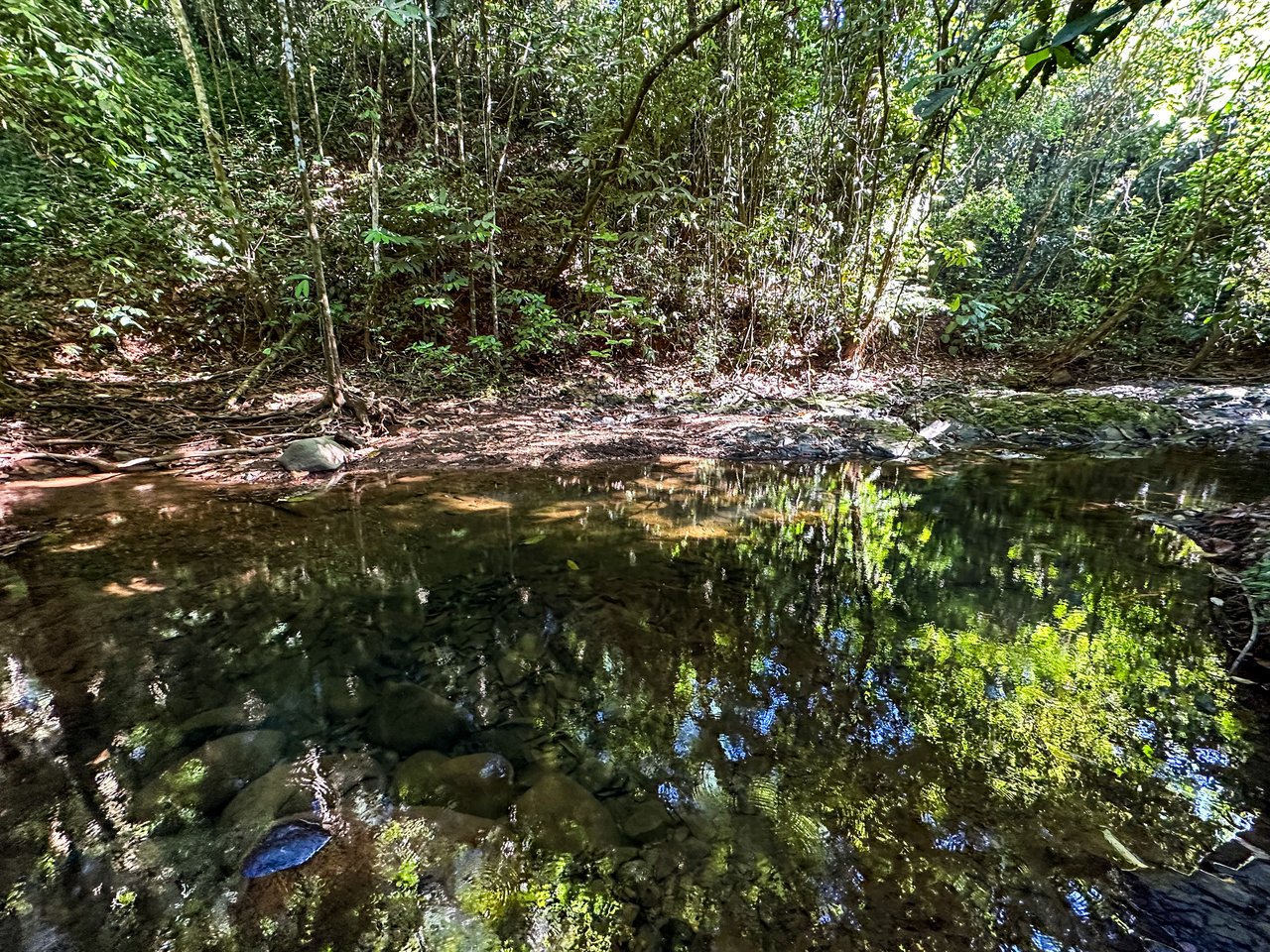 Jungle River Retreat with Airbnb & Build Space in Ojochal