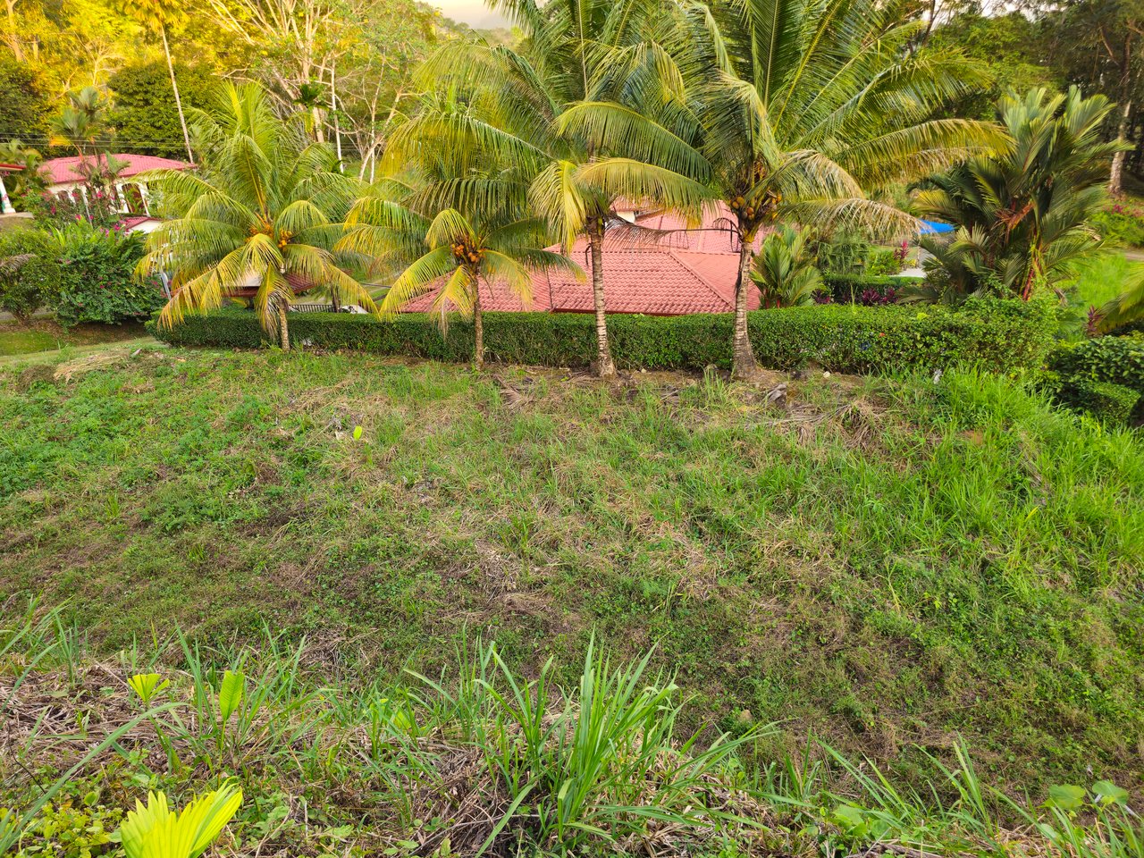 Peaceful Paradise Land in Ojochal with Budget-Friendly Options