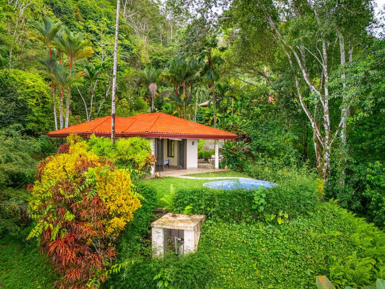 Ocean, jungle & mountain views on a meticulously landscaped 3-home family compound