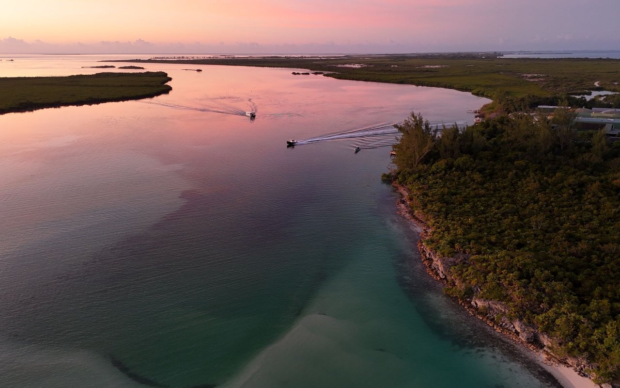 Parrot Cay