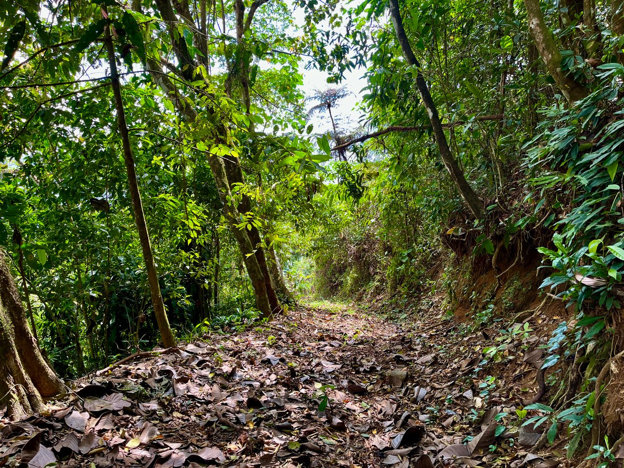 San Luis Ridgetop Ocean & Mountain View Property with Multiple Building Sites!