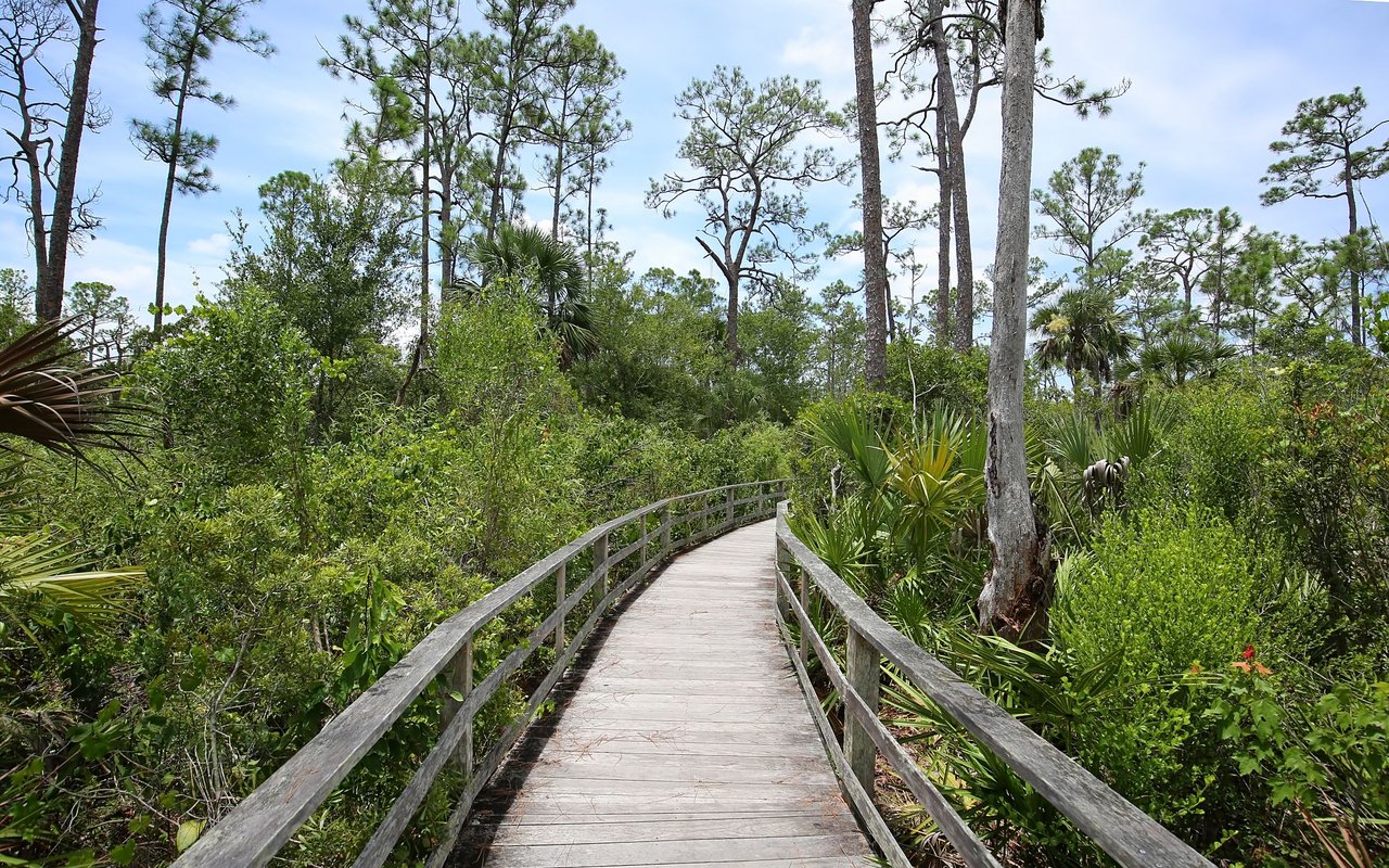 Delray Trails