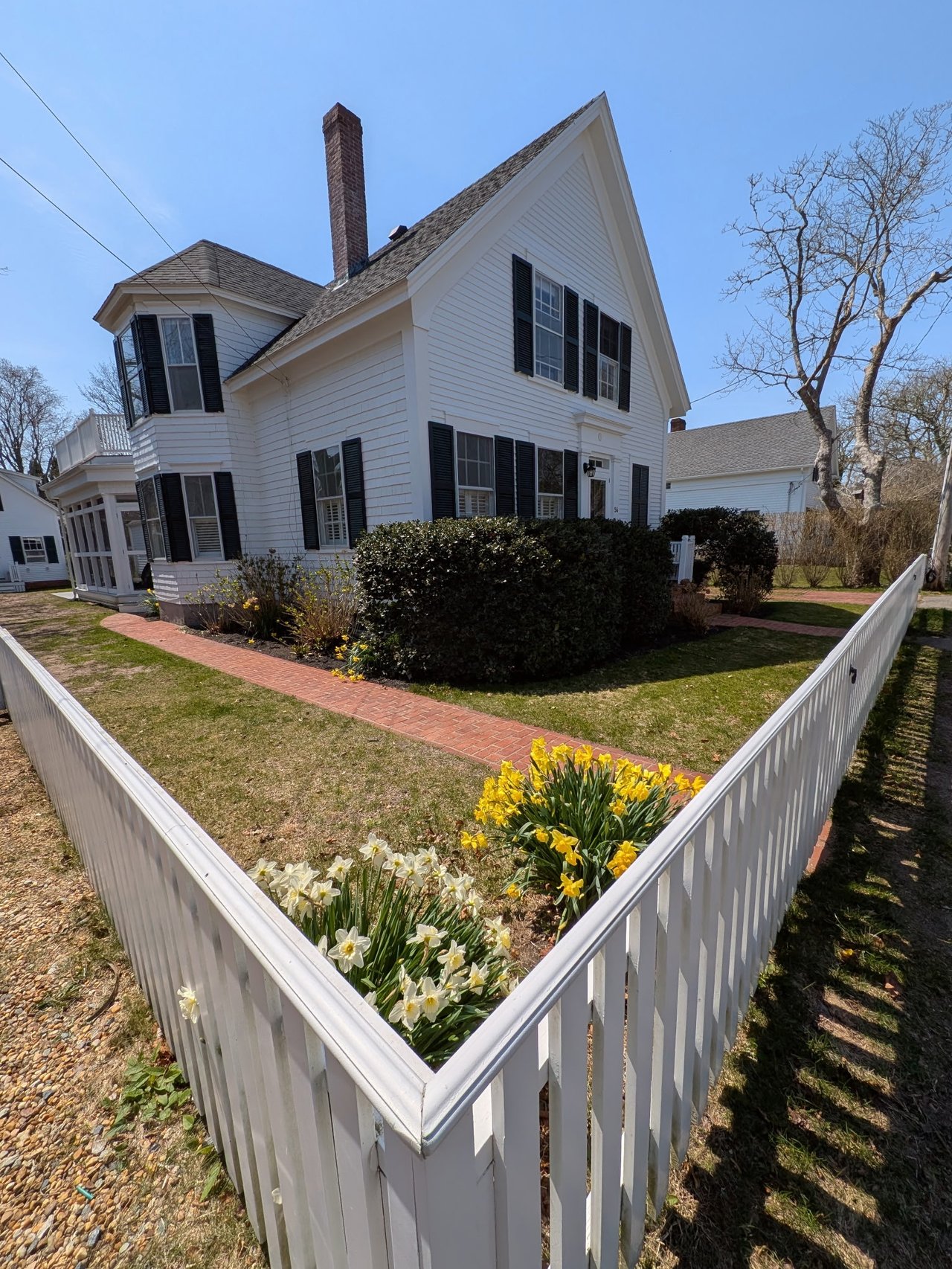 54 Cooke St