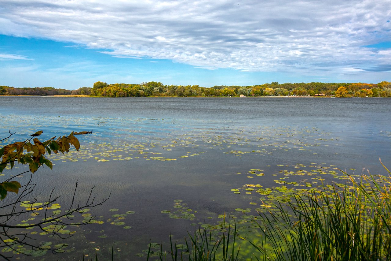 Tranquil Medicine Lake Setting!