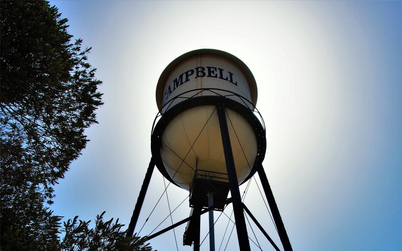 Campbell
