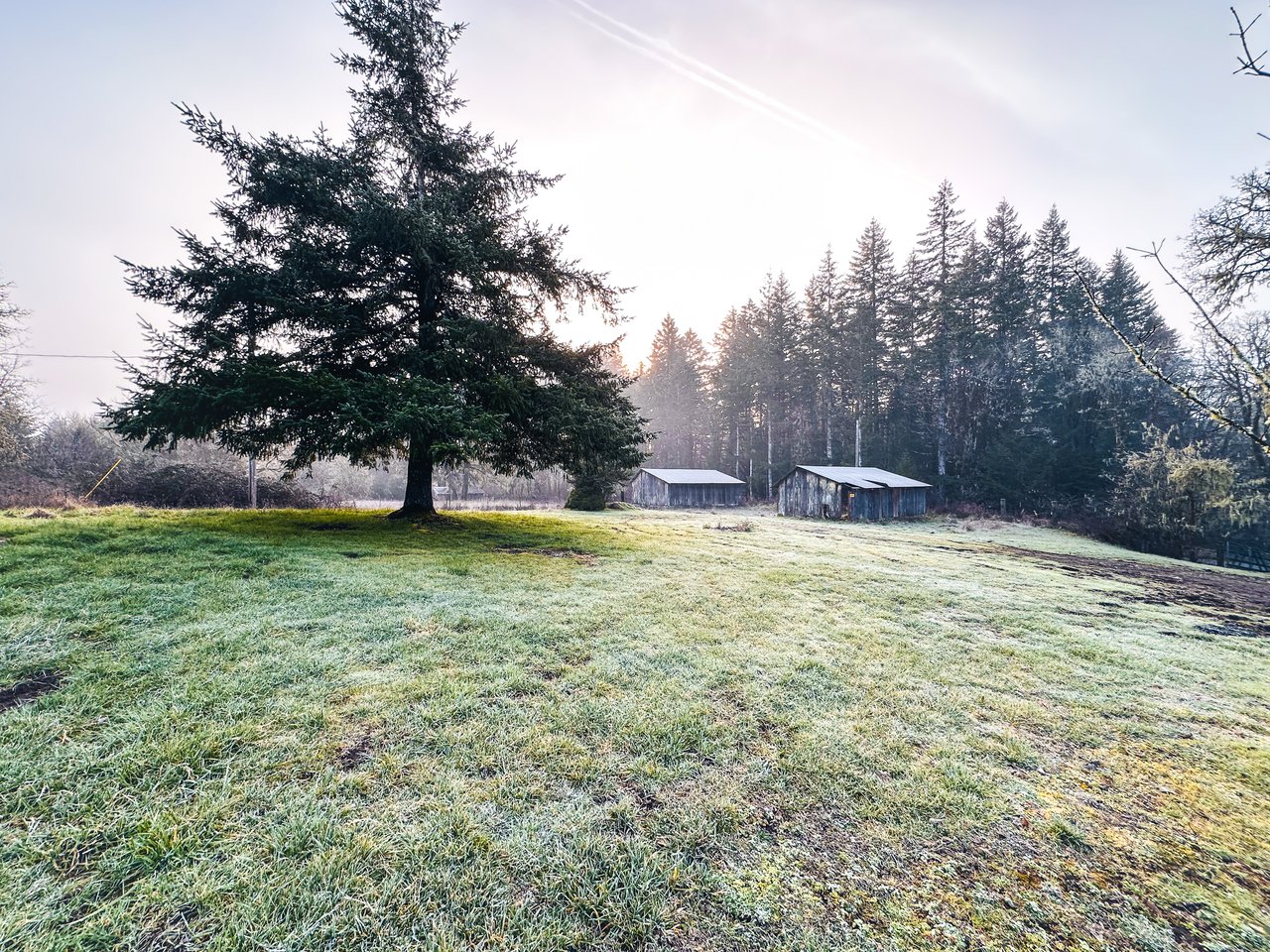 HARRIS FARM & FOREST