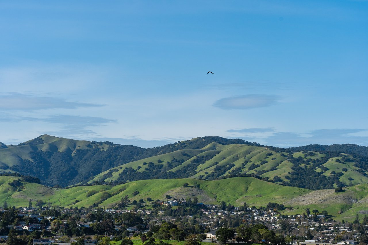 Is Fremont a Buyer's or Seller's Market in 2026?